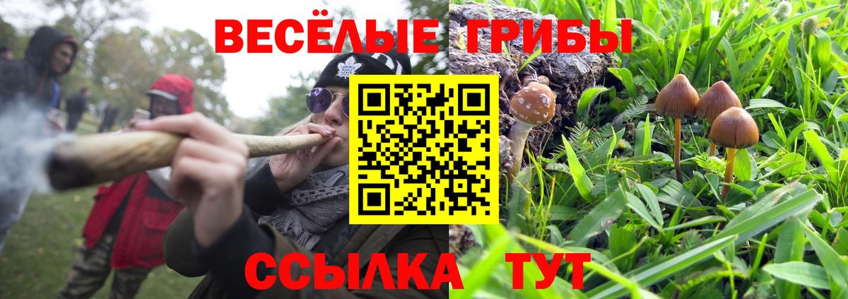 Галлюциногенные грибы GOLDEN TEACHER  Вход с VPN  Белорецк 