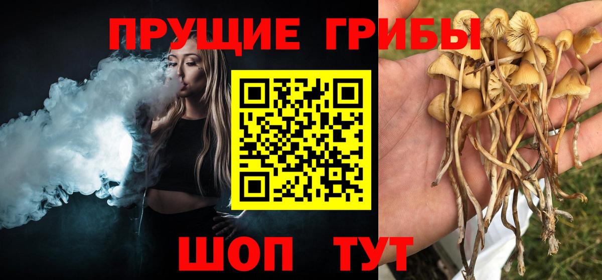 Псилоцибиновые грибы мицелий Белорецк